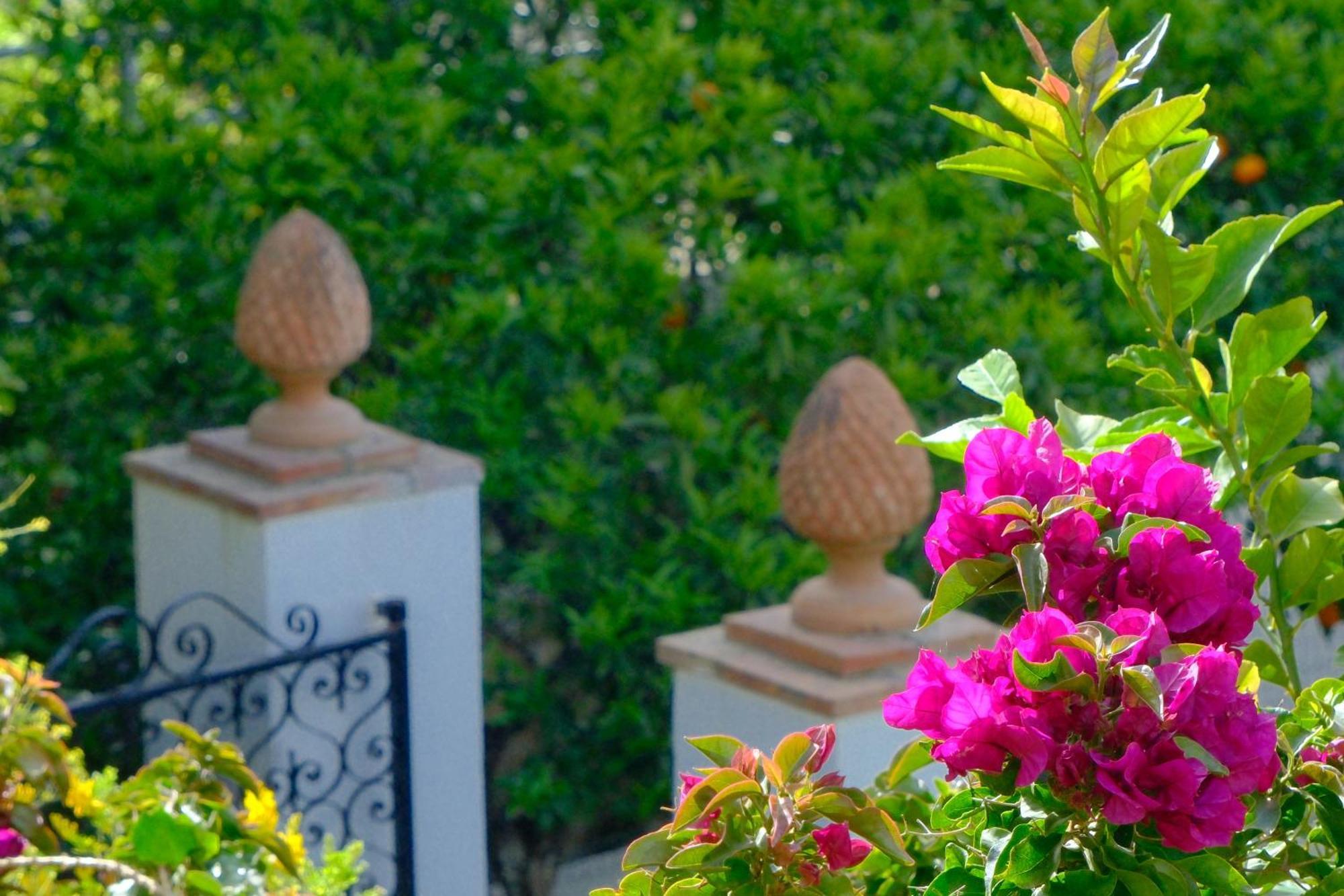 Villa Dorothee Capri Luaran gambar